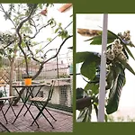 La Casa Del Nespolo, 2 Terrazzi E 2 Bagni In Centro Lägenhet Neapel