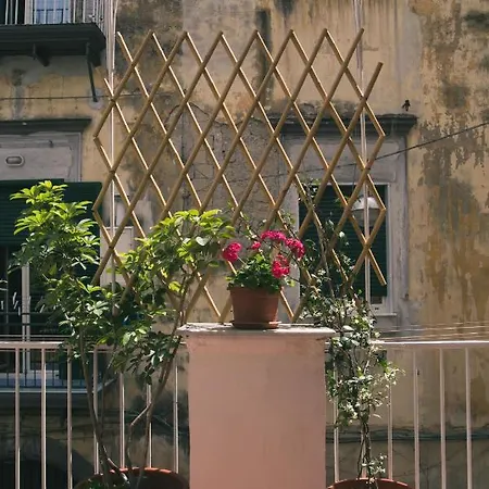 Daire La Casa Del Nespolo, 2 Terrazzi E 2 Bagni In Centro *