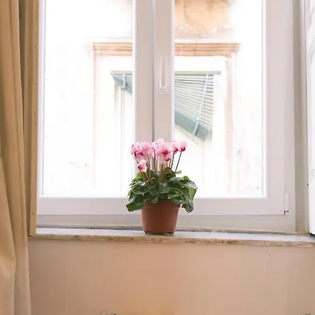 La Casa Del Nespolo, 2 Terrazzi E 2 Bagni In Centro * 那不勒斯