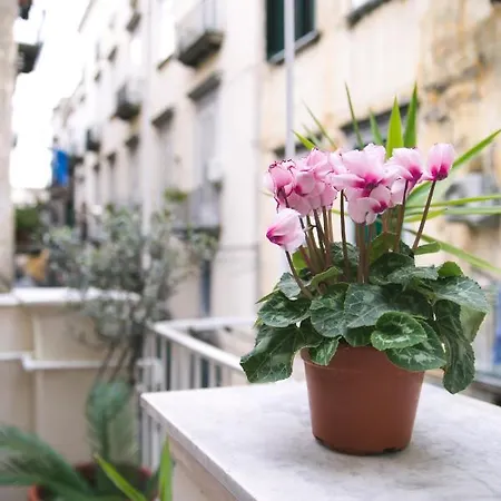 Apartman La Casa Del Nespolo, 2 Terrazzi E 2 Bagni In Centro